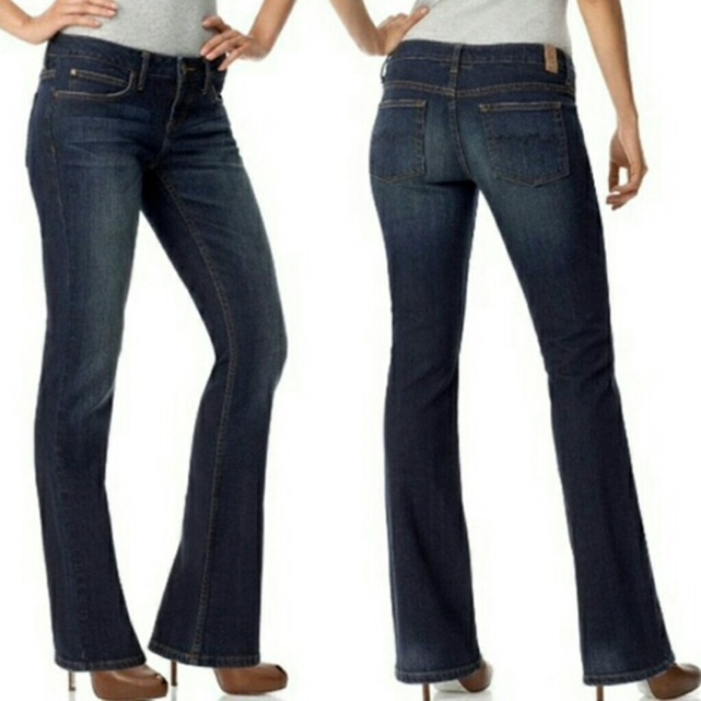 {American Rag}•CiE• {Bootcut jeans}